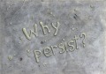 Why persist?